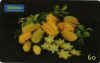 carambola.jpg (7741 octets)