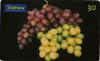 uvas.jpg (7891 octets)