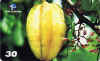 carambola-R.jpg (12263 octets)