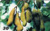 n-8.jpg (8218 octets)