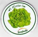 bonduelle_2.jpg (4384 octets)