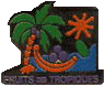 fruits_des_tropiques.gif (6166 octets)