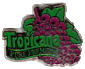 tropicana_pur_premium_1.gif (5455 octets)