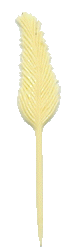 plume 1 ivoire jaune.gif (5154 octets)