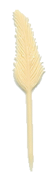 plume 1 ivoire.gif (5280 octets)