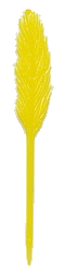 plume 2 jaune.gif (5057 octets)