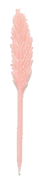 plume 2 rose.gif (4119 octets)