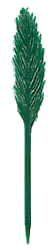 plume 2 vert fonce.gif (5620 octets)