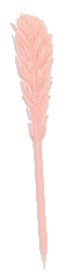 plume 3 rose.gif (4274 octets)