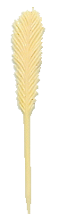 plume 4 ivoire.gif (5127 octets)