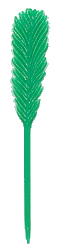 plume 4 vert moyen.gif (5941 octets)