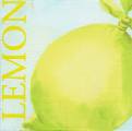 citron0031-1.jpg (2059 octets)
