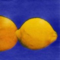 citron0082-1.jpg (4382 octets)