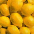 citron0099-1.jpg (2927 octets)