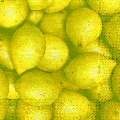 citron0122-1.jpg (3422 octets)