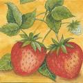 fraises0001.jpg (3845 octets)