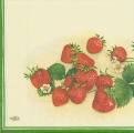fraises0005a.jpg (2737 octets)