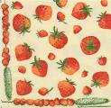 fraises0006a.jpg (4965 octets)