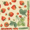 fraises0006b.jpg (5055 octets)