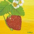 fraises0009-1b.jpg (2826 octets)