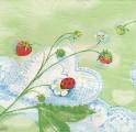 fraises0012-1a.jpg (3199 octets)
