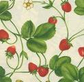 fraises0014-1.jpg (4603 octets)