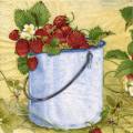 fraises0017-1.jpg (3403 octets)