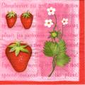 fraises0018-2.jpg (3964 octets)