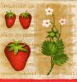 fraises0018-3.jpg (3986 octets)