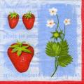 fraises0018-4.jpg (3926 octets)