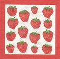 fraises0019-1.jpg (4309 octets)