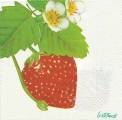 fraises0027-1b.jpg (2894 octets)