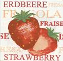 fraises0030-1.jpg (4856 octets)
