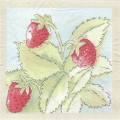 fraises0043-1.jpg (3109 octets)