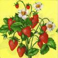 fraises0044-1.jpg (4670 octets)