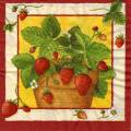 fraises0046-1.jpg (3489 octets)