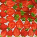 fraises0048-1.jpg (4306 octets)