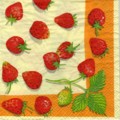 fraises0055-1.jpg (7676 octets)