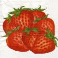 fraises0061-1.jpg (3461 octets)