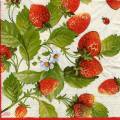fraises0064-1a.jpg (5020 octets)