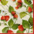 fraises0064-1b.jpg (4747 octets)