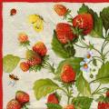 fraises0064-1c.jpg (4796 octets)