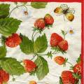 fraises0064-1d.jpg (4799 octets)
