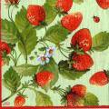 fraises0064-2a.jpg (5032 octets)