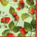 fraises0064-2b.jpg (4759 octets)