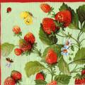 fraises0064-2c.jpg (4797 octets)