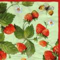 fraises0064-2d.jpg (4651 octets)