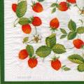 fraises0066-1a.jpg (4369 octets)