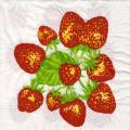 fraises0069-1b.jpg (4319 octets)