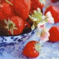 fraises0071-1.jpg (3967 octets)